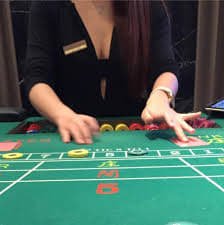 bet333